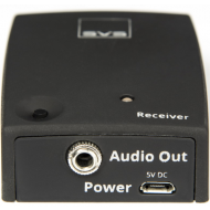 SVS Soundpath | Wireless Audio Adapter | Autoryzowany Dealer Szczecin - 0[9].png
